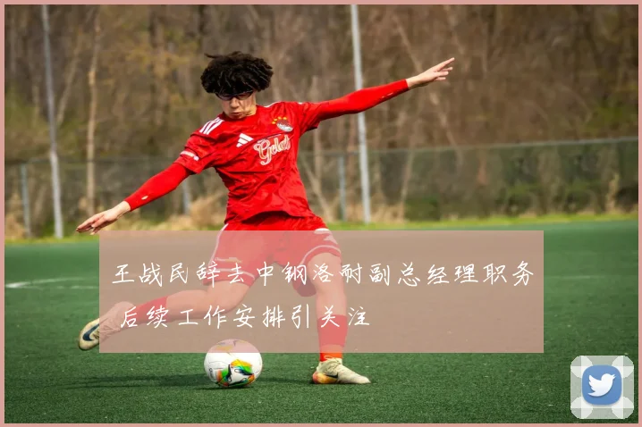 王战民辞去中钢洛耐副总经理职务 后续工作安排引关注
